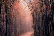 开云体育亚洲官网-亚洲杯预选赛：中国队实现惊人逆转，书写奇迹新篇章