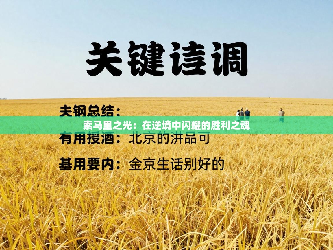 索马里之光：在逆境中闪耀的胜利之魂  第2张