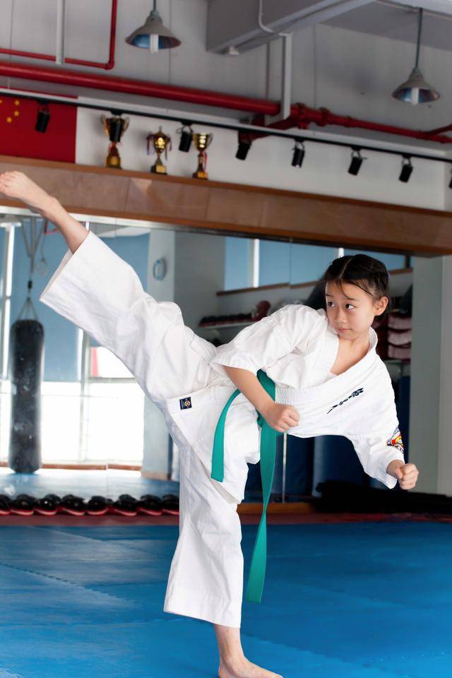 开云体育在线-空手道项目日本选手展现实力的简单介绍